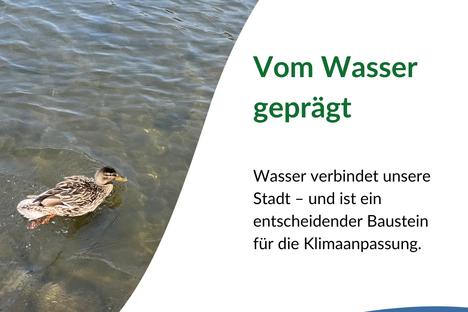Ente schwimmt im Wasser. Brandenburg ist von Seen, Havelarmen und Kanälen geprägt. Wasser ist ein wichtiger Baustein der Klimaanpassung.