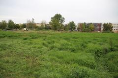 Neues Wohngebiet "Altstädtische Stadtheide" an der Brahmstraße/ Ecke Sophienstraße entsteht