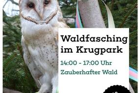Plakat mit Eule zum Waldfasching