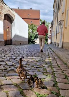 Durch die Altstädtische Wassertorstraße.
