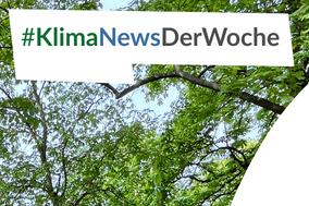 Klima News Der Woche