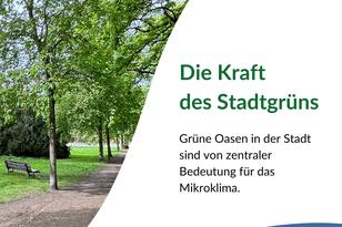 Stadtgrün steigert die Lebensqualität, stärkt die Artenvielfalt und macht die Stadt widerstandsfähiger gegen den Klimawandel.