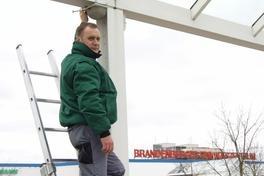 Einkaufszentrum unterstützt Mehlschwalbenkolonie