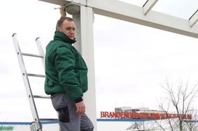 Einkaufszentrum unterstützt Mehlschwalbenkolonie