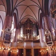 Abbildung der Domorgel