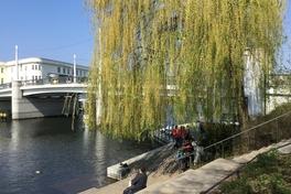 Zusätzliche Reinigungen an Havelufern bis Oktober 2022