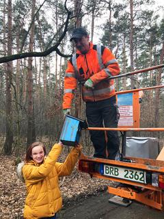 Schüler/innen und Forstmitarbeiter hängen gemeinsam die Nistkästen auf 