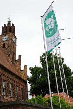 Flagge vor dem Rathaus