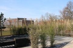 Themengarten auf dem Packhofgelände