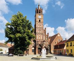 Rathaus am Altstädtischen Markt mit einem Brunnen und einem großen Baum davor
