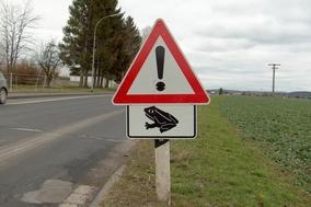 Amphibienwanderung – Nächtliche Straßensperrungen